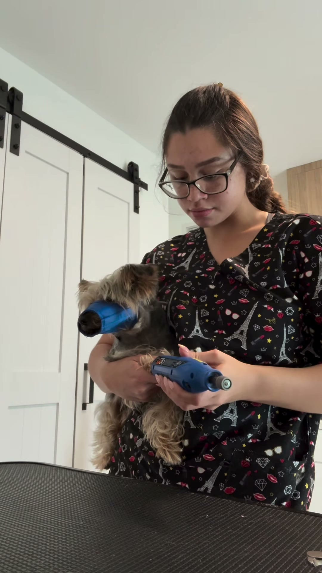 Abril grooming a dog at Cris Dog Grooming