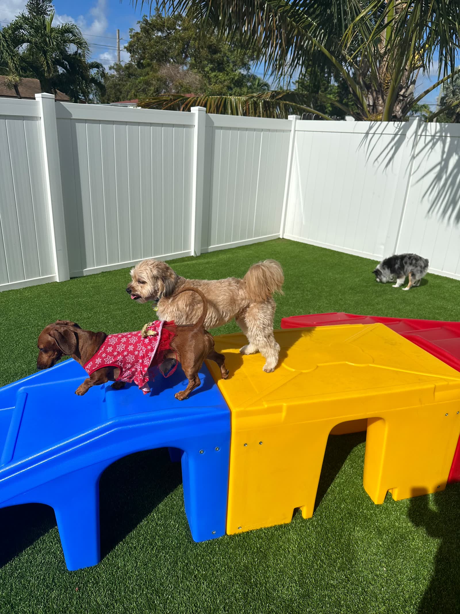 Play time